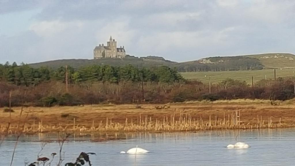 The Beach Hotel Mullaghmore Exteriör bild